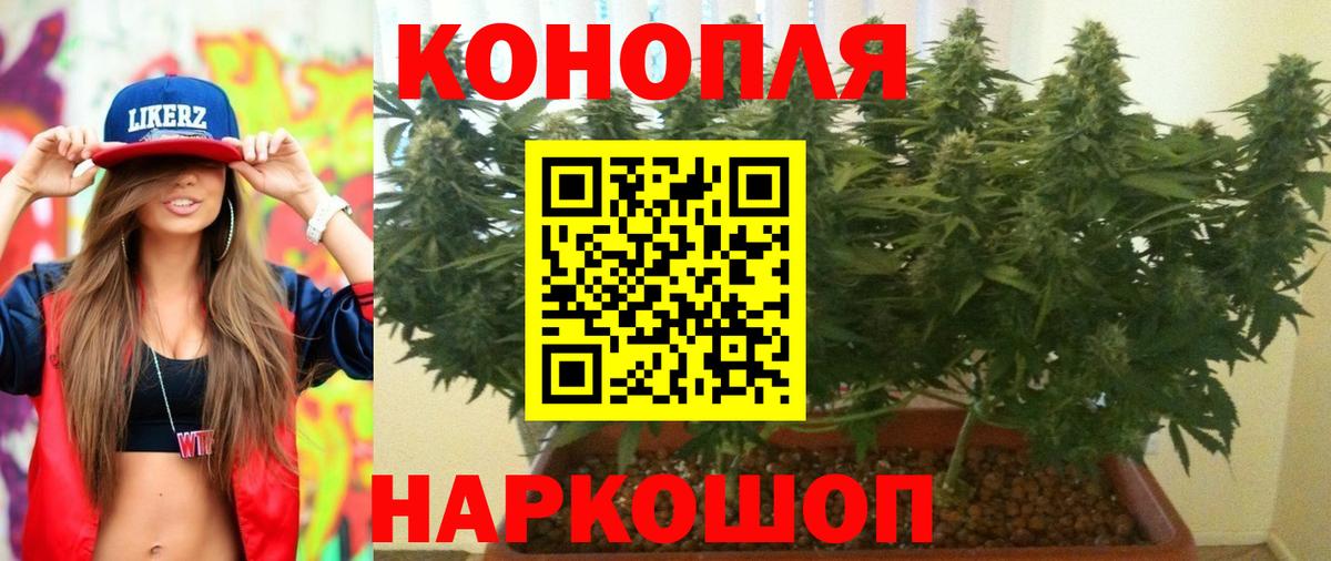 Канабис OG Kush  Вход с VPN  Бошки марихуана конопля  Можайск  Бошки Шишки OG Kush 